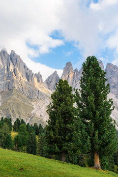 Impressive mountain formation 'The Tre Cime di Lavaredo' ('Three Peaks' / 'Big Peak' 2999 m) in the morning light, Italy, South Tyrol, Dolomites