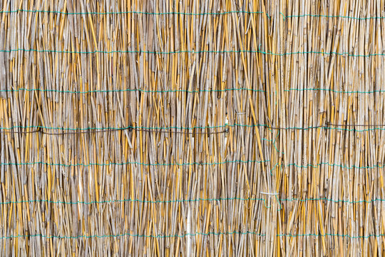 The texture of the dry reeds. Yellow reeds. A fence made of reeds. Dry grass.