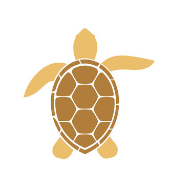 Sea turtle icon