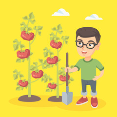 Little caucasian farmer boy with shovel standing near the bush of tomato at the farm. Happy farmer boy in glasses cultivating tomatoes in the garden. Vector sketch cartoon illustration. Square layout.