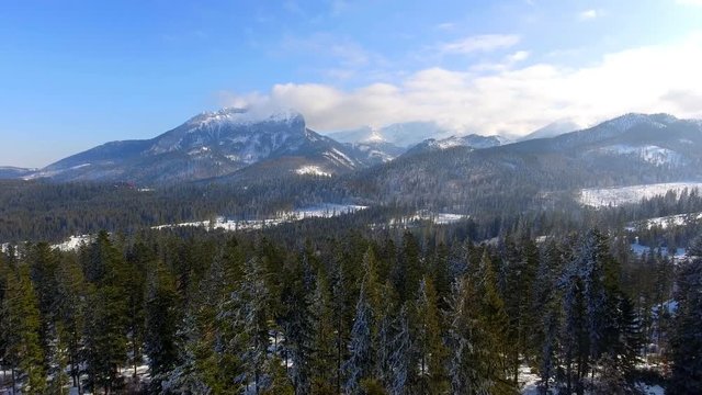 Lot w g&oacute;rach nad lasem