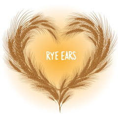 Rye ears Heart isolated