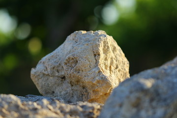 The Stone