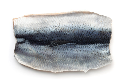 Top View Of Herring Fillet