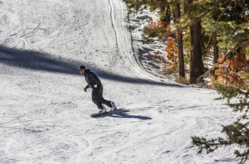 snowboarder coming in to the bottom of the ski resort 