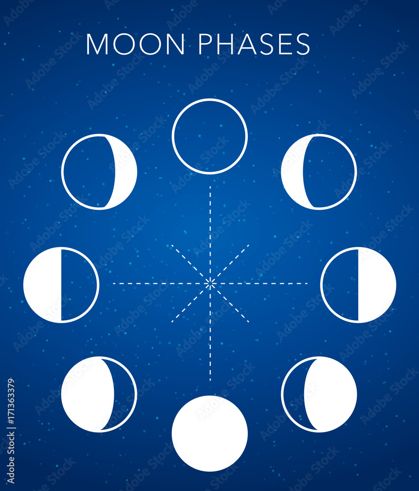 Canvas Prints moon phases vector background