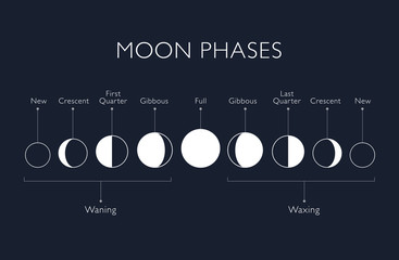 Moon phases vector background - 171363388