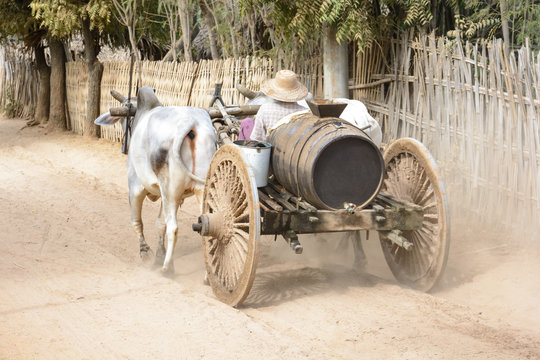 Myanmar (Burma), Mandalay Region, Taungtha, Taung Ba, Provinz Mandalay