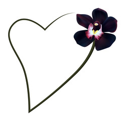 Realistic black orchid frame, heart.