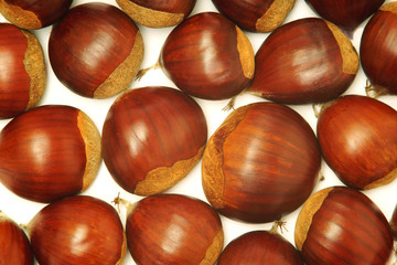 chestnuts on  white background