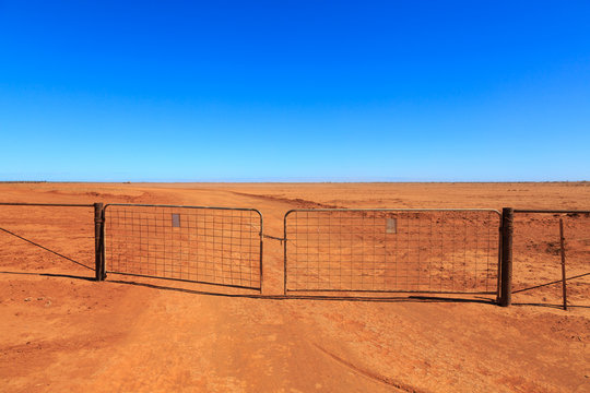 A dry dusty paddock on a sheep station. Western Australia.