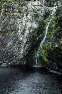 Black Pool