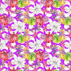 Obraz premium Wildflower cactus flower pattern in a watercolor style. Full name of the plant: Aloe. Aquarelle wild flower for background, texture, wrapper pattern, frame or border.