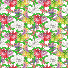 Wildflower cactus flower pattern in a watercolor style. Full name of the plant: Aloe. Aquarelle wild flower for background, texture, wrapper pattern, frame or border.
