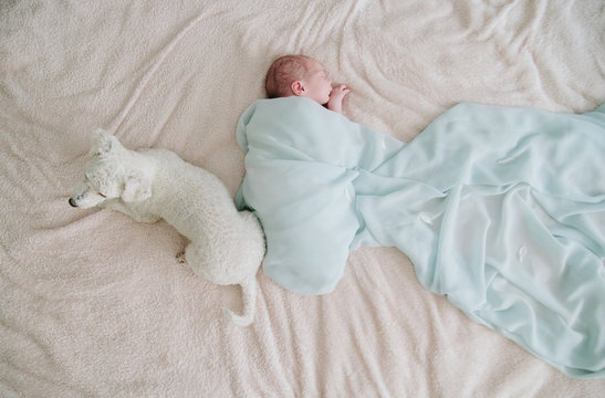 Baby girl and dog portrait