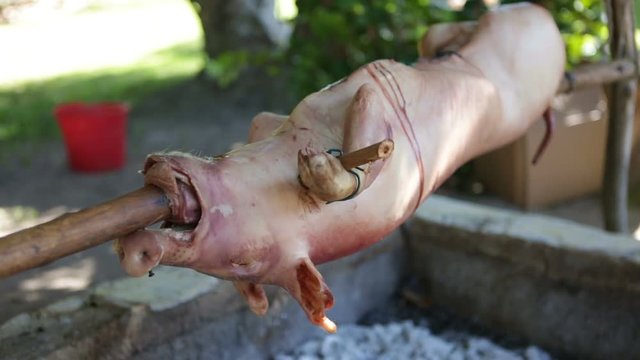 A pig is baked on a spit.