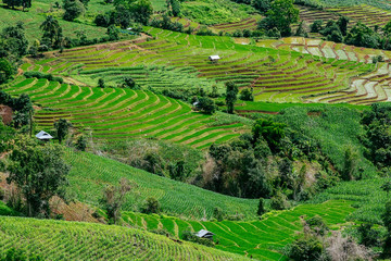 Rice terrace in the countryside suround by mountains