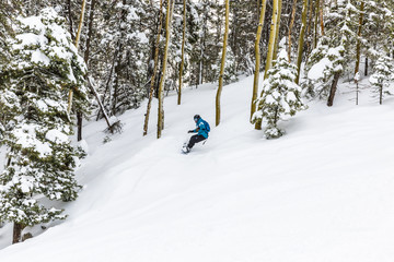 snowboarder riding though some powder and thick trees