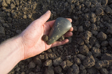 Neolithic stone axe 5000-6000 BC