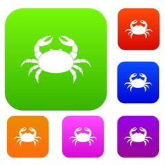 Raw crab set color collection