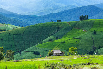 little hut and Rice terrace in a cloudy lighting surrounded by trees and mountains at Pa Bong Piang...