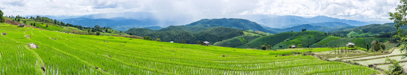Fototapeta na wymiar Panorama with little hut and Rice terrace in a cloudy lighting surrounded by trees and mountains with a raining storm in the background at Pa Bong Piang near Mae Chaem, Chiangmai, Thailand...