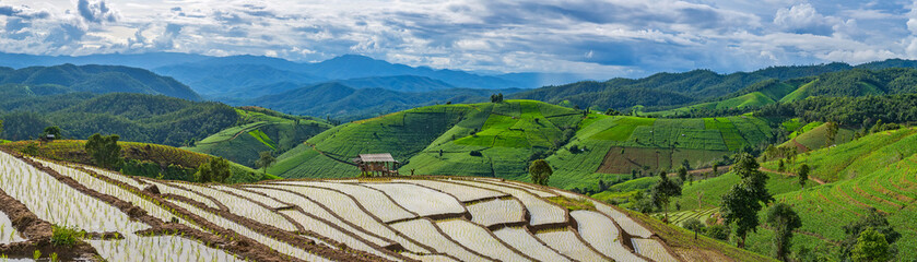 Panorama view of little hut and Rice terrace in a cloudy lighting surrounded by trees and mountains.