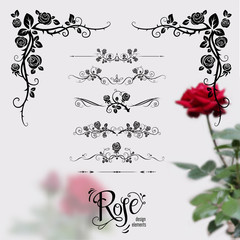 Roses design elements