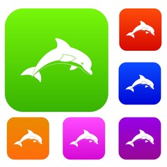 Jumping dolphin set color collection