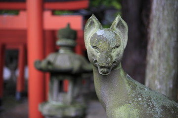 The ancient fox stone statue