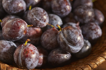 fresh, ripe Italian Prune Plums