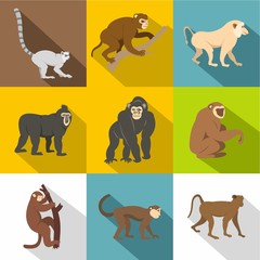 Tropical monkey icon set, flat style