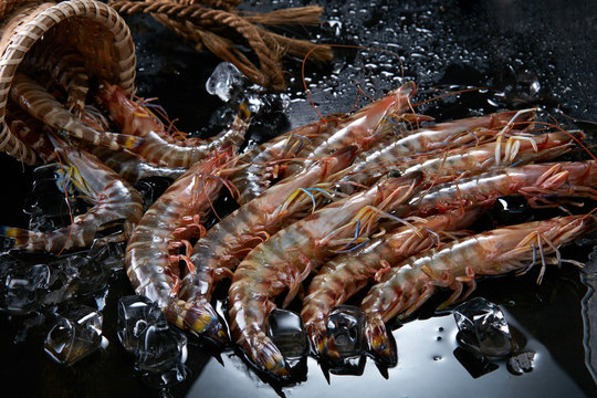 Fresh raw black tiger prawn shrimp with bamboo baskets and ice, shot in dark background