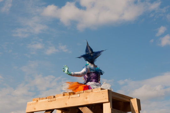 A Man With A Badge In A Blue Bird's Suit Sits On A Hill. Photo From The Back.