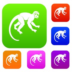 Capuchin monkey set color collection