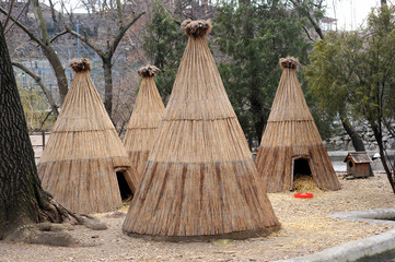 Wigwam house in the national park © Vlad