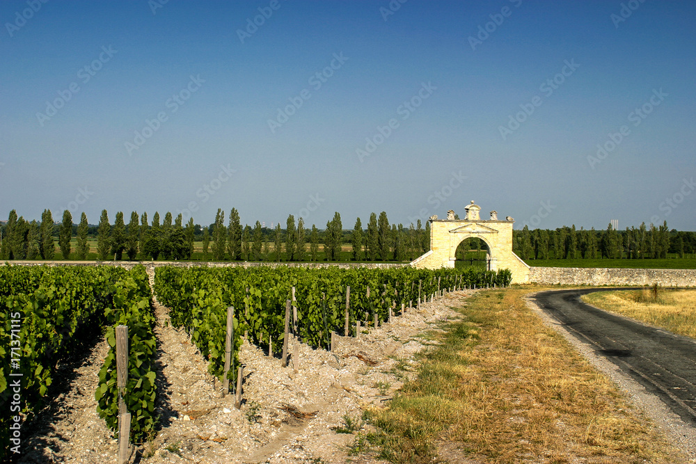 Canvas Prints la porte du chateau