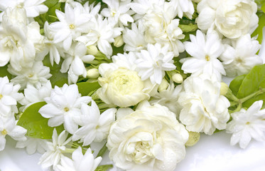 Obraz na płótnie Canvas Jasmine flowers refreshing
