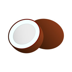 Vector icon of coconut whole and sliced. Natural product.