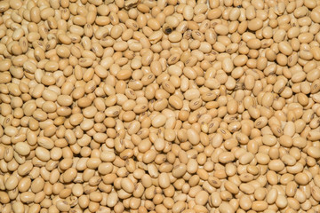 Soybean seed organic on background.