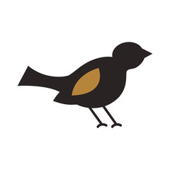 Obraz premium christmas bird animal decoration ornament vector illustration