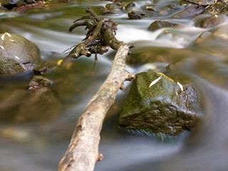 rivière en automne