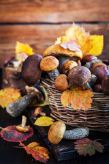 Wild forest edible mushrooms (boletus) in basket