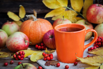 Naklejka na ściany i meble Orange mug on autumn background