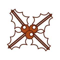 christmas leaf with holly berry decoration celebration icon vector illustration