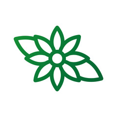 christmas flower poinsettia decoration celebration vector illustration