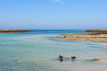 Fototapeta na wymiar Shallow water between Griffiths Island and the mainland - Port Fairy, Victoria, Australia