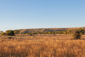 Fototapeta na wymiar High plateau, Mesa, Great Karoo, South Africa