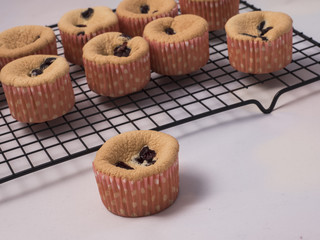 cup cake