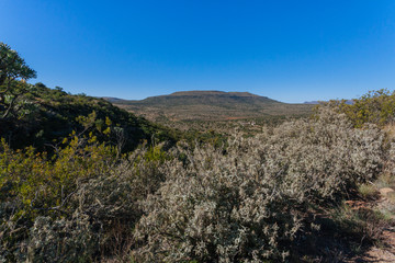 Fototapeta na wymiar Mountain in South Africa